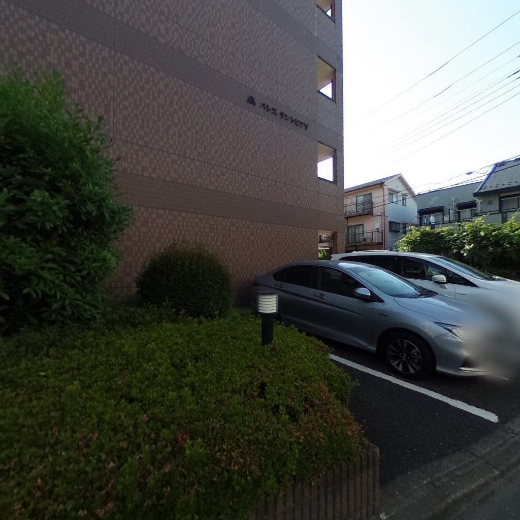 写真:パレスサントピアⅤの建物全景