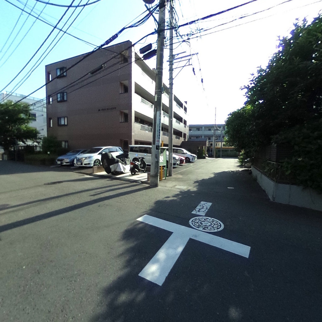 写真:パレスサントピアⅤの建物全景