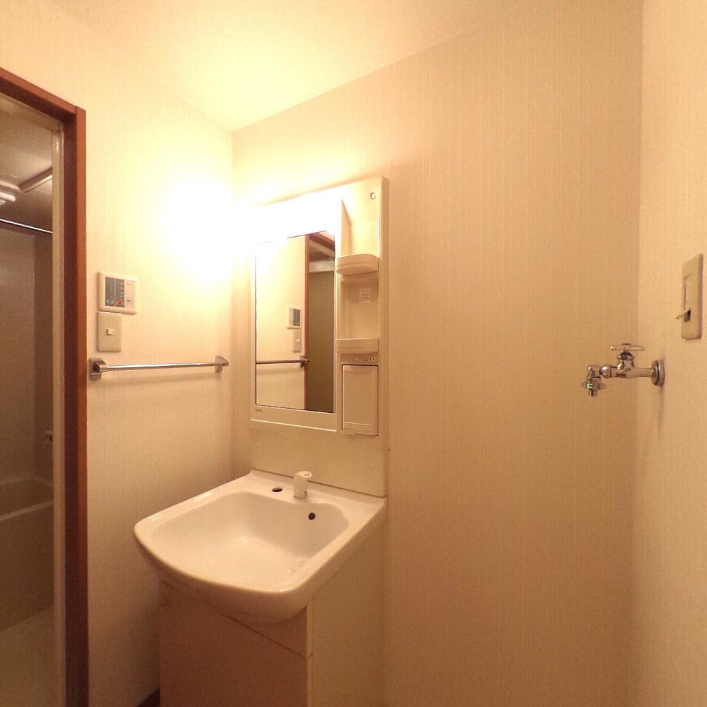 写真:Cozy Hillsの洗面所