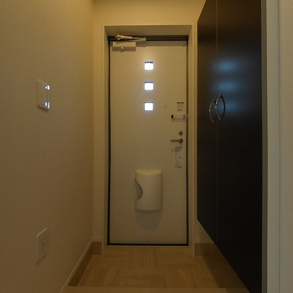 写真:リッチレジデンスB(Rich Residence B)の玄関ホール