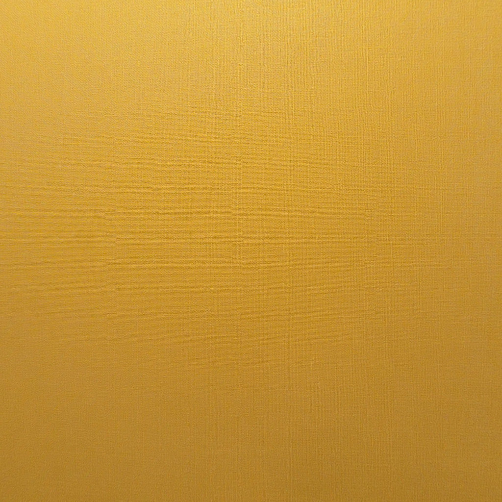 写真:サラスリーノのトイレ