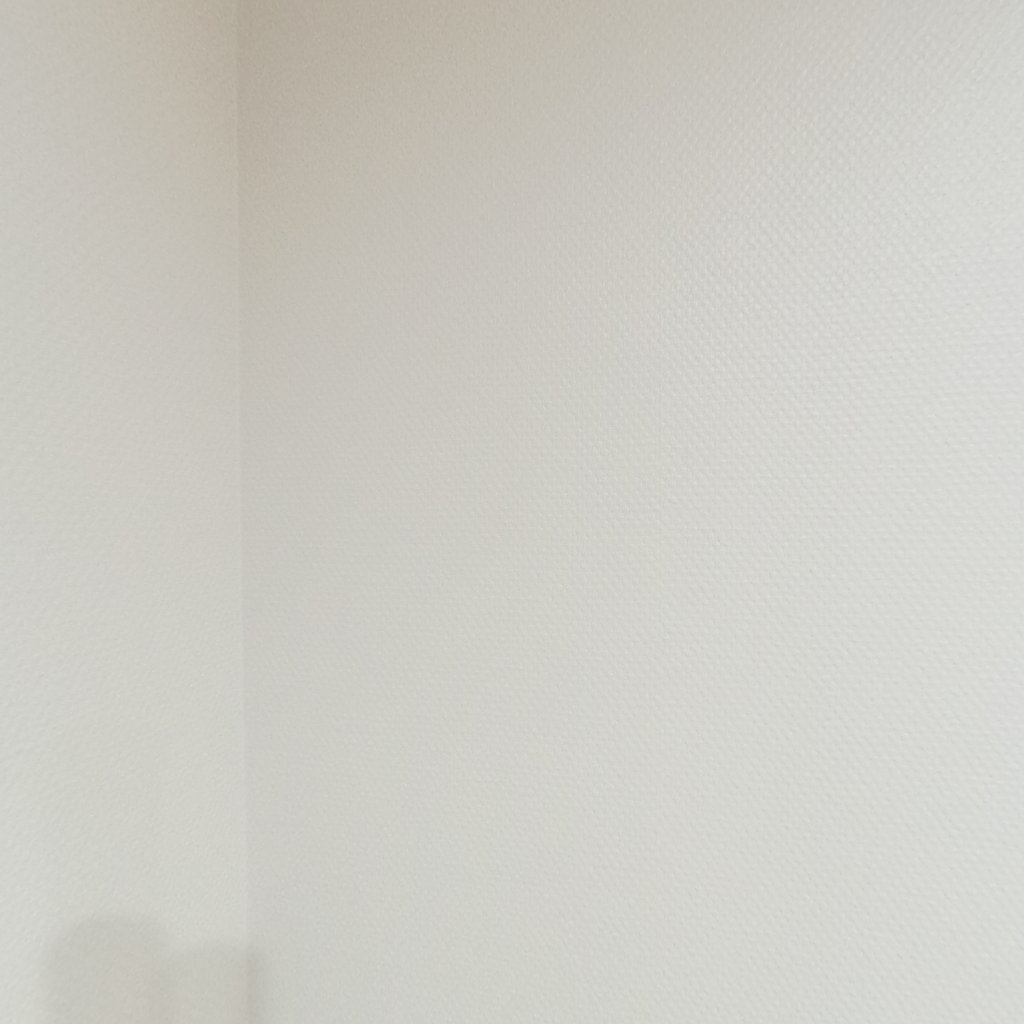 写真:Crest(クレスト)のキッチン