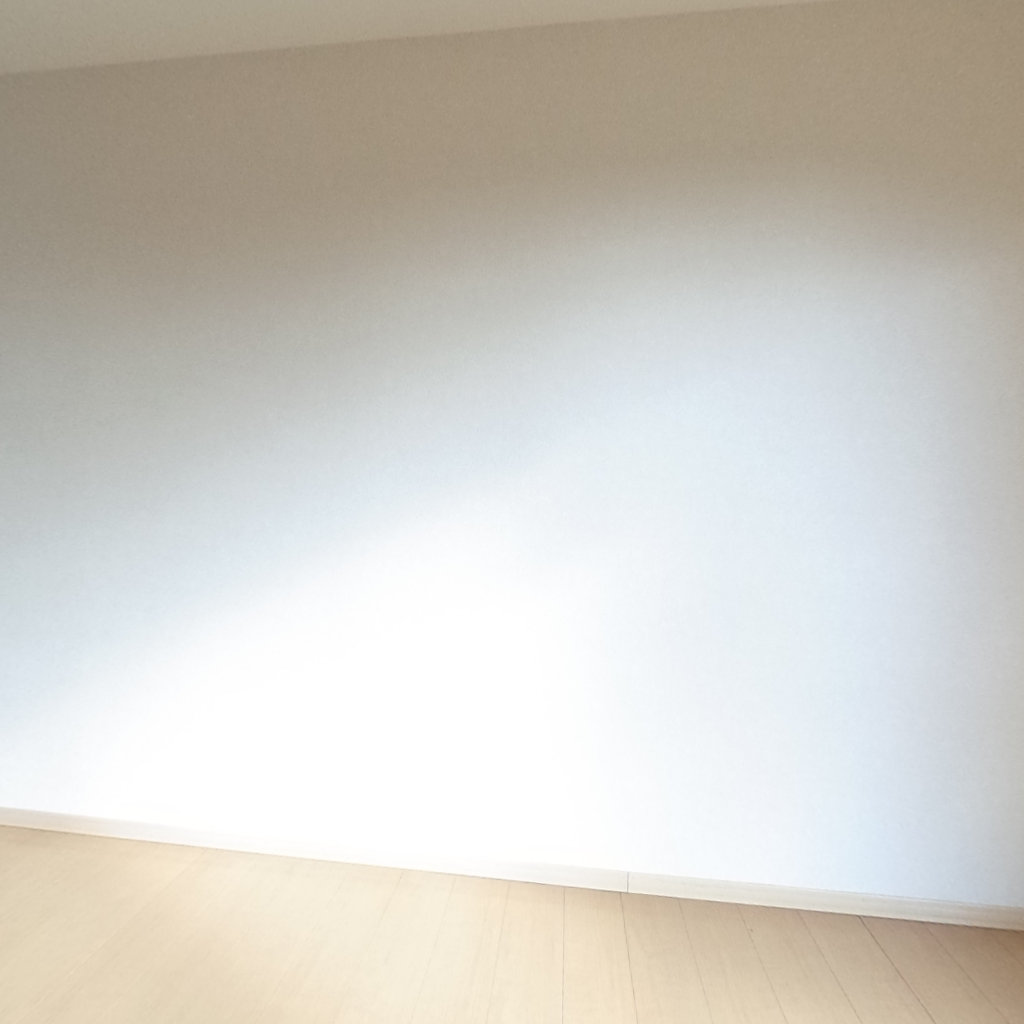 写真:広島市東区上温品4丁目のLDK