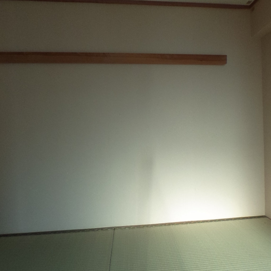 写真:GRACEエヌエスの和室