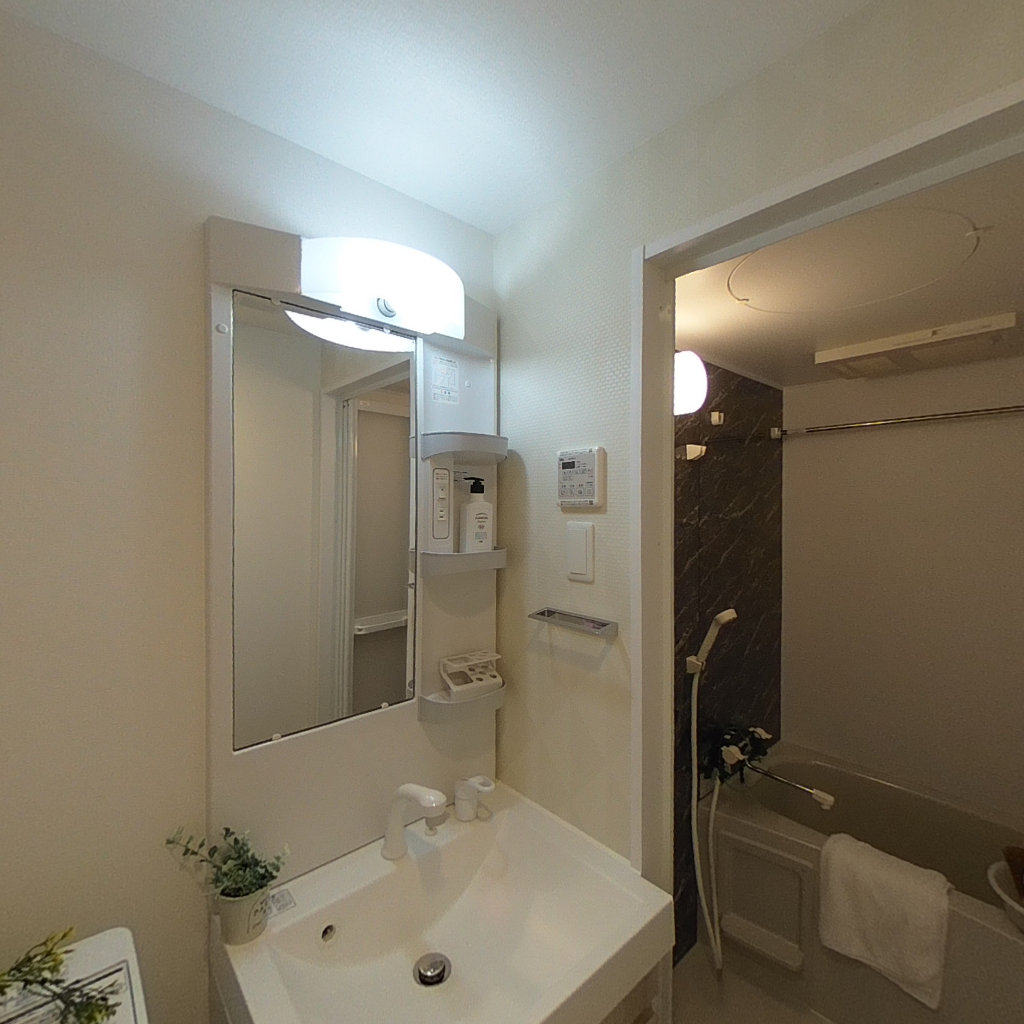写真:S-RESIDENCE山王の洗面所