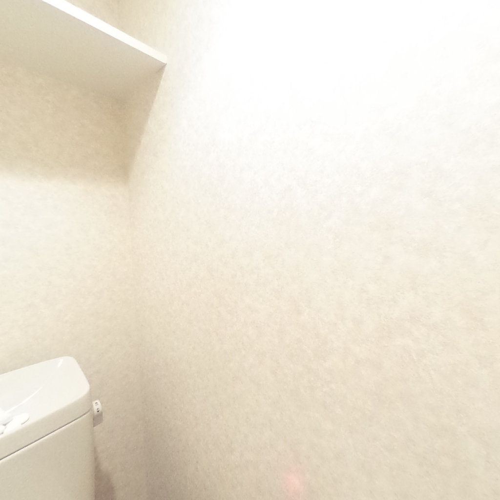 写真:Luxe難波西Ⅰのトイレ