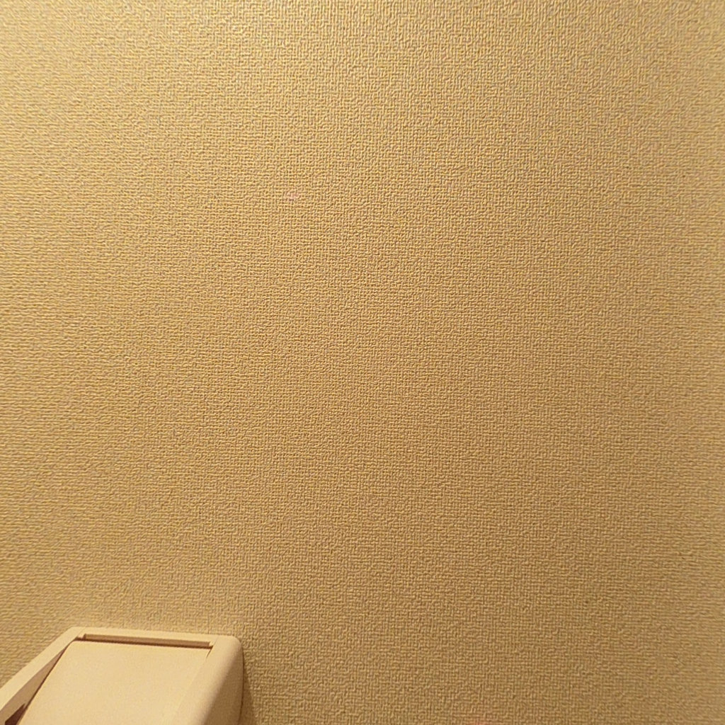 写真:オオタミマンションのトイレ