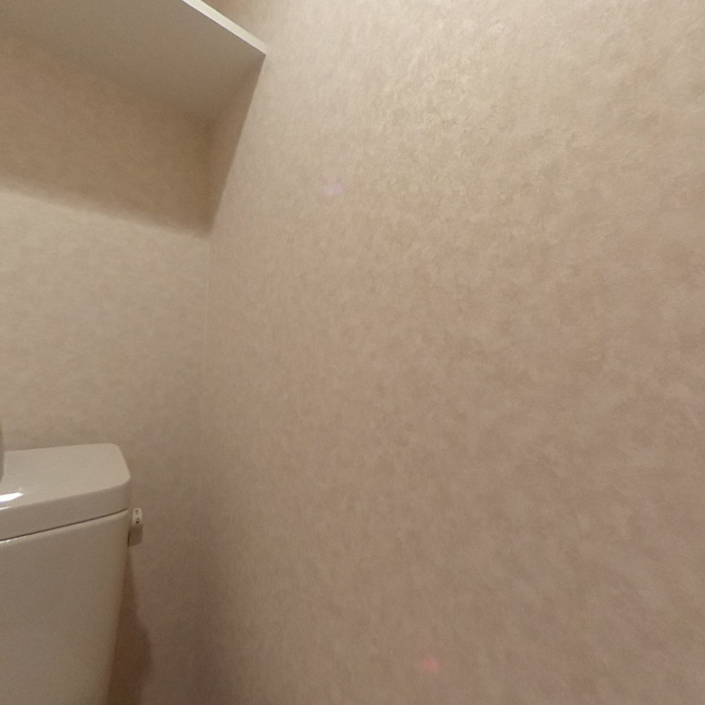写真:Luxe難波南のトイレ