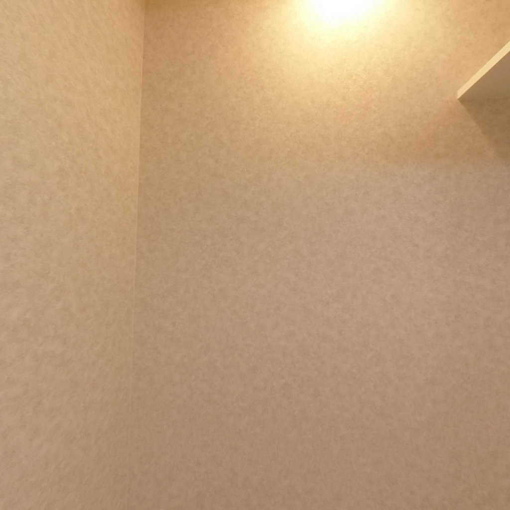 写真:Luxe難波南の洗面所
